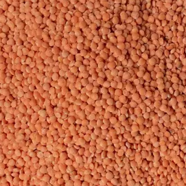 [LENT_CORA] Lentilles Corail Bio (100g) – Cuisson Rapide & Fondante