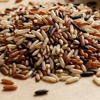 [RIZ_TRIO] Riz de Camargue Trio Longs Complets IGP Bio (100g) – Énergie & Saveurs