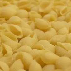 [COQU_NAT] Coquillages Nature Bio Artisanaux (100g) – Douceur & Tradition