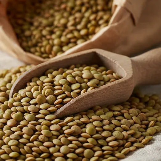 [LENT-VERT-BIO] Lentilles Vertes Bio - Origine France (100g)